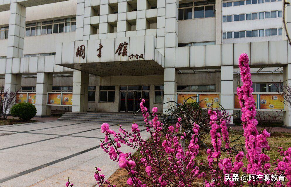 秦皇岛除了燕山大学，还有哪些本土本科高校？