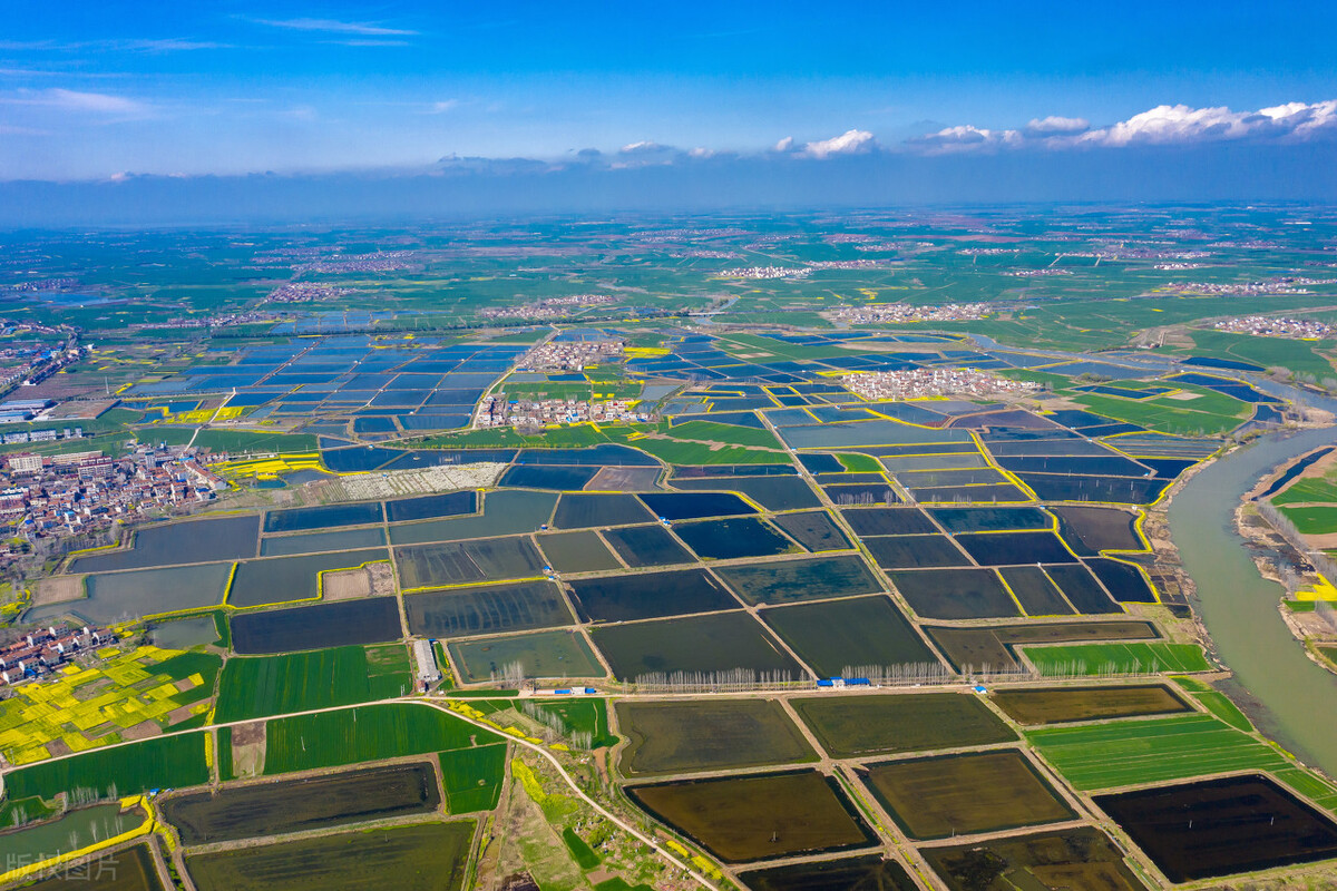 和数软件：区块链+乡村振兴，区块链将如何改变乡村面貌？