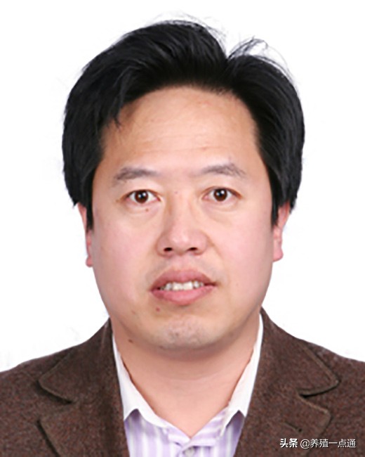 成子强，山东农业大学，教授、博导，禽病专家