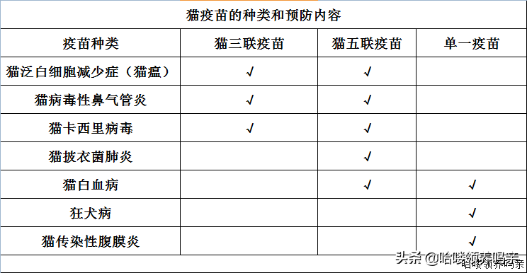 猫咪疫苗三联和五联有什么差异？收下这份铲屎官的专业疫苗手册