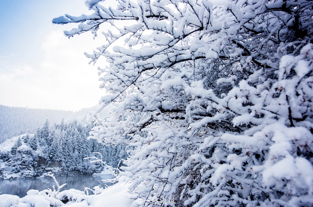 一生一定要去新疆天山看一次雪，太美了，分明就是“仙境”