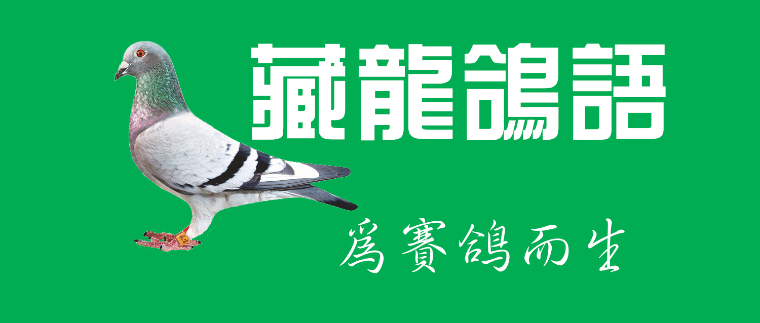 异色反目当优？