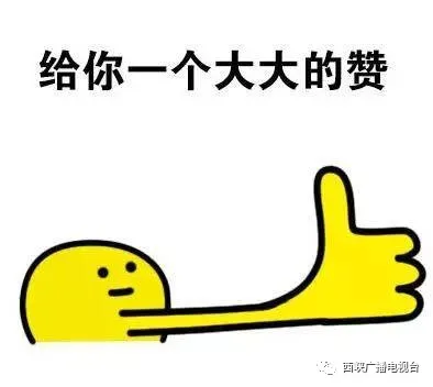 西峡一高2020高考再创佳绩！另附高三复习班招生简章