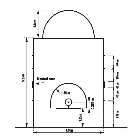 为什么nba的篮球小(篮筐为什么高3.05米？三分线多远？满满干货讲解篮球小知识)