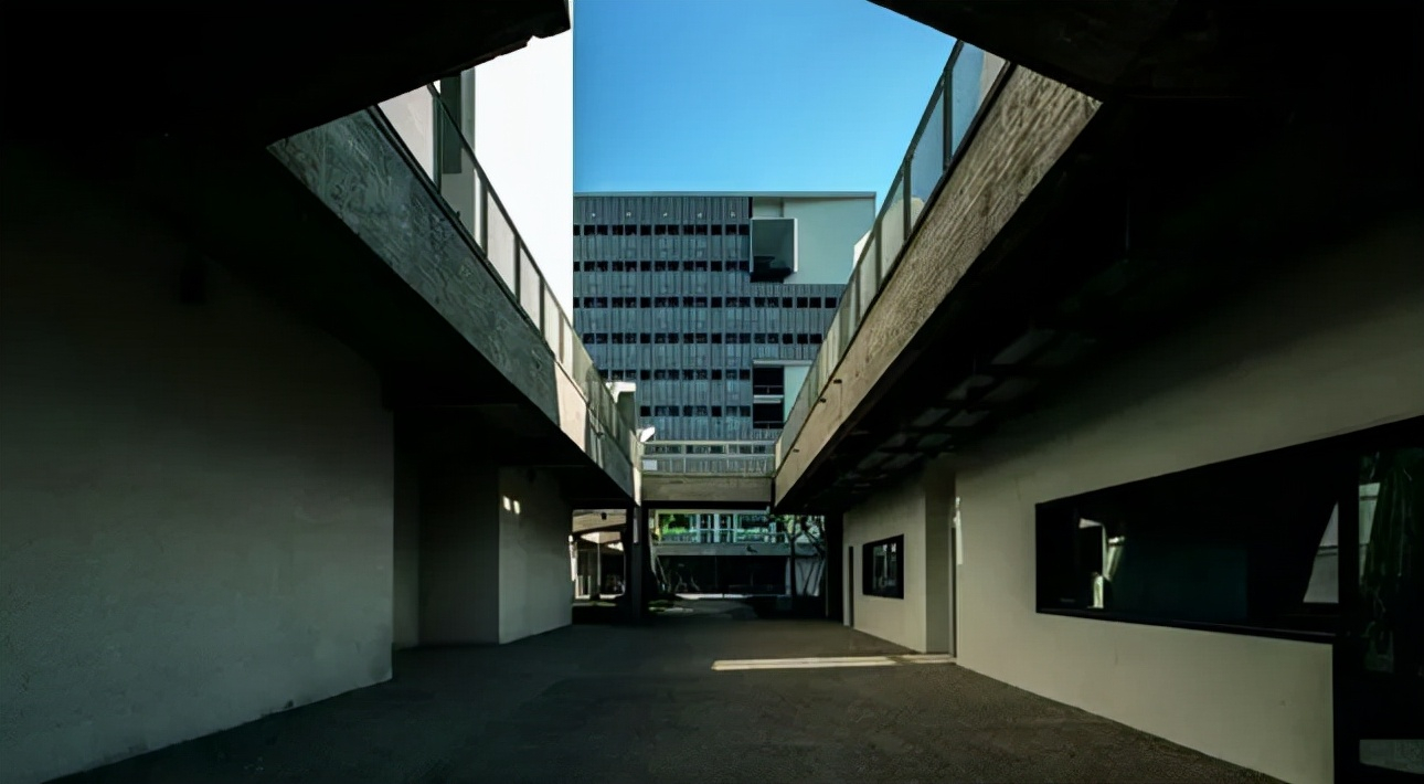 这2所美术学院在2021年相继启用新校区，招生人数将会大幅度提升