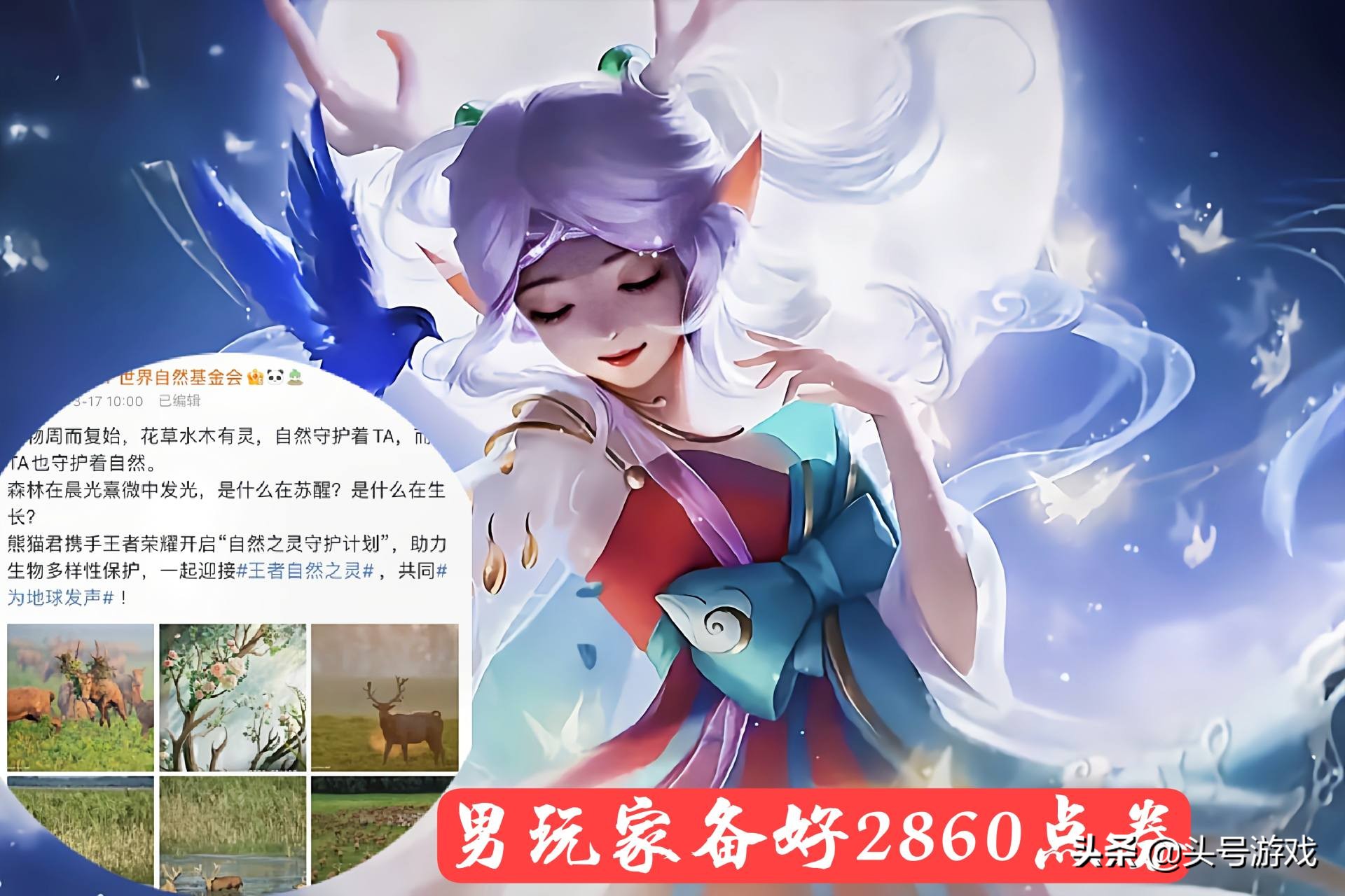 王者荣耀图片女角色黄(瑶三重联动传说曝光) - 赤虎壹号