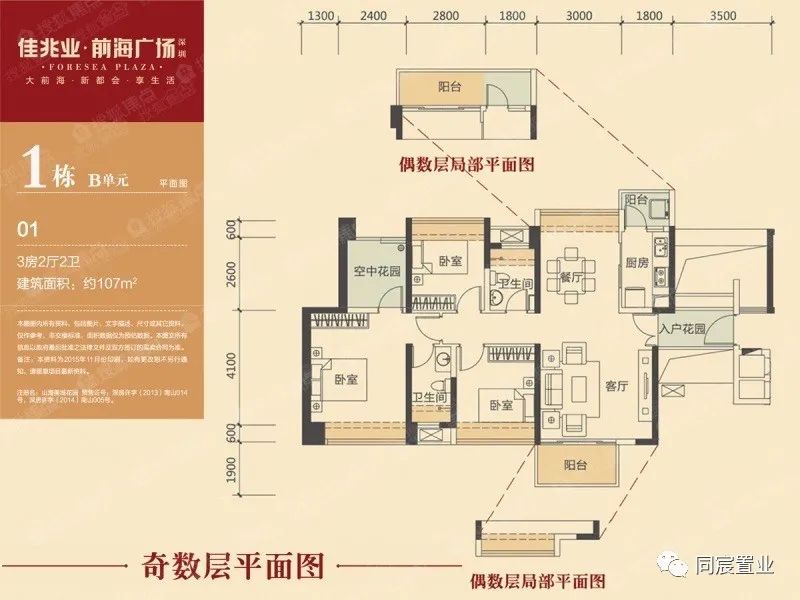 深圳大学优秀生源基地，深大附属教育集团(下)