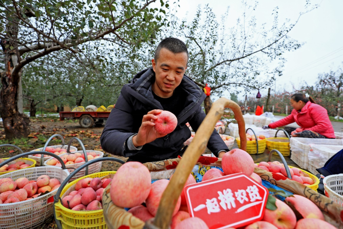 最新双十一洞察报告：电商之风吹进大山，国货品牌大狂欢