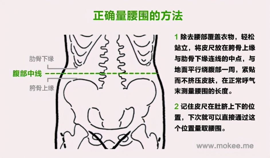 量腰围的准确位置是图片