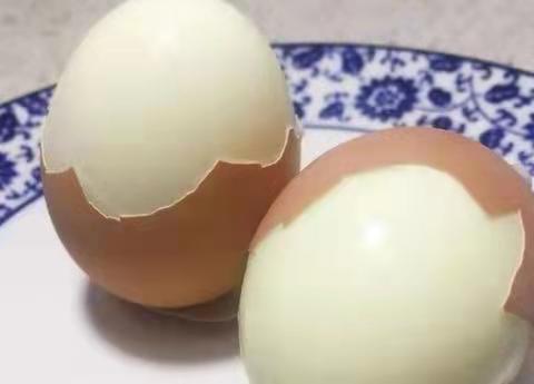 霍格沃茨学校（鸡蛋返生）