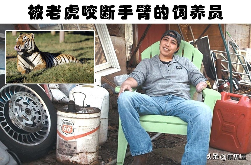 人类在驯化动物的时候，所出现的7种错误