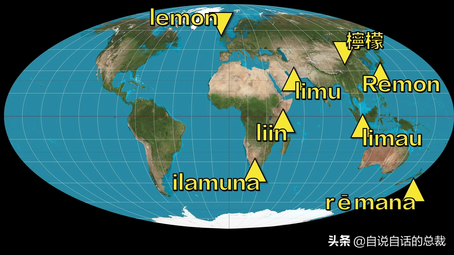 全世界的柠檬都读Lemon？这背后有一个刻在8号染色体上的上古故事