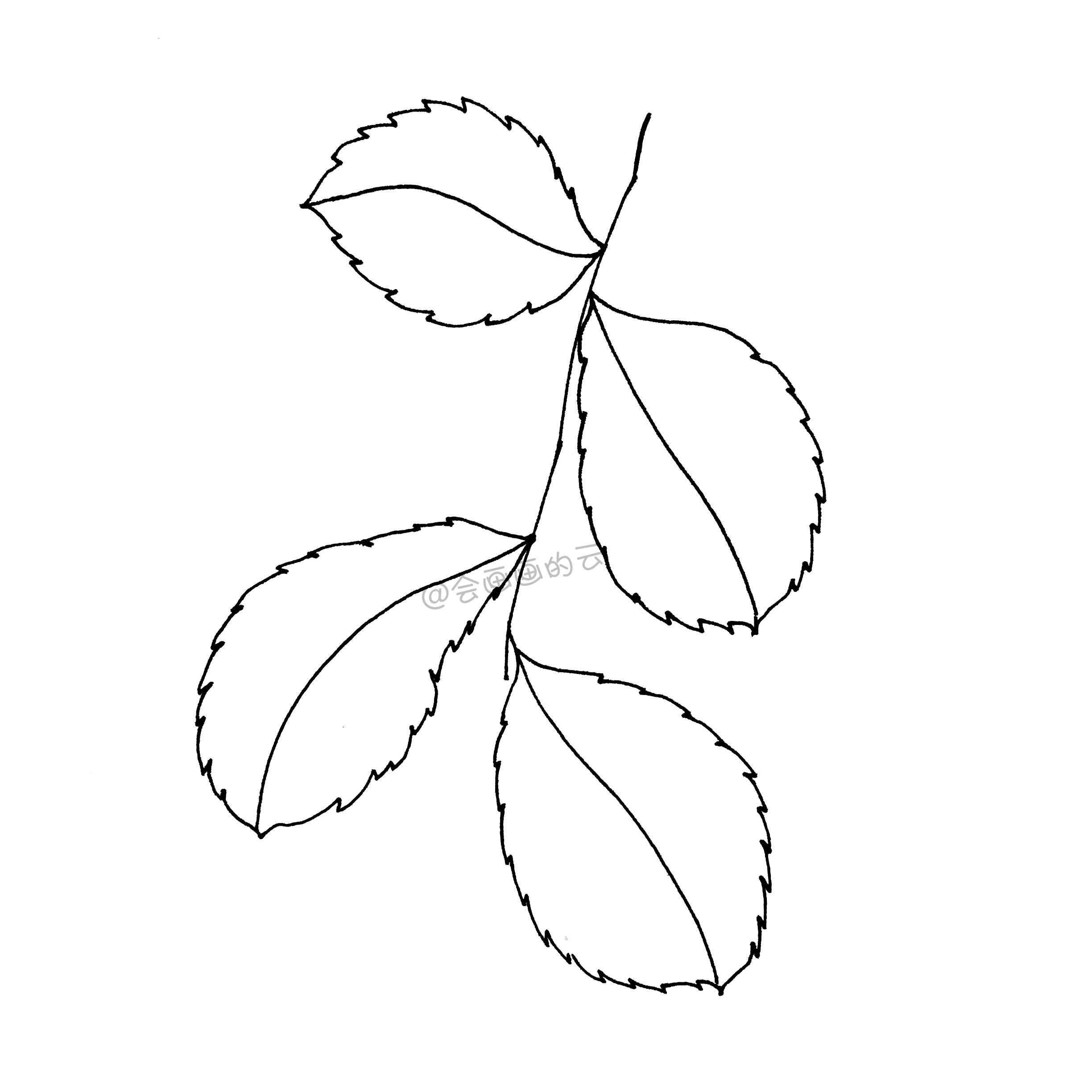 一支笔就可以画的简笔画,6款叶子带你进入线描世界