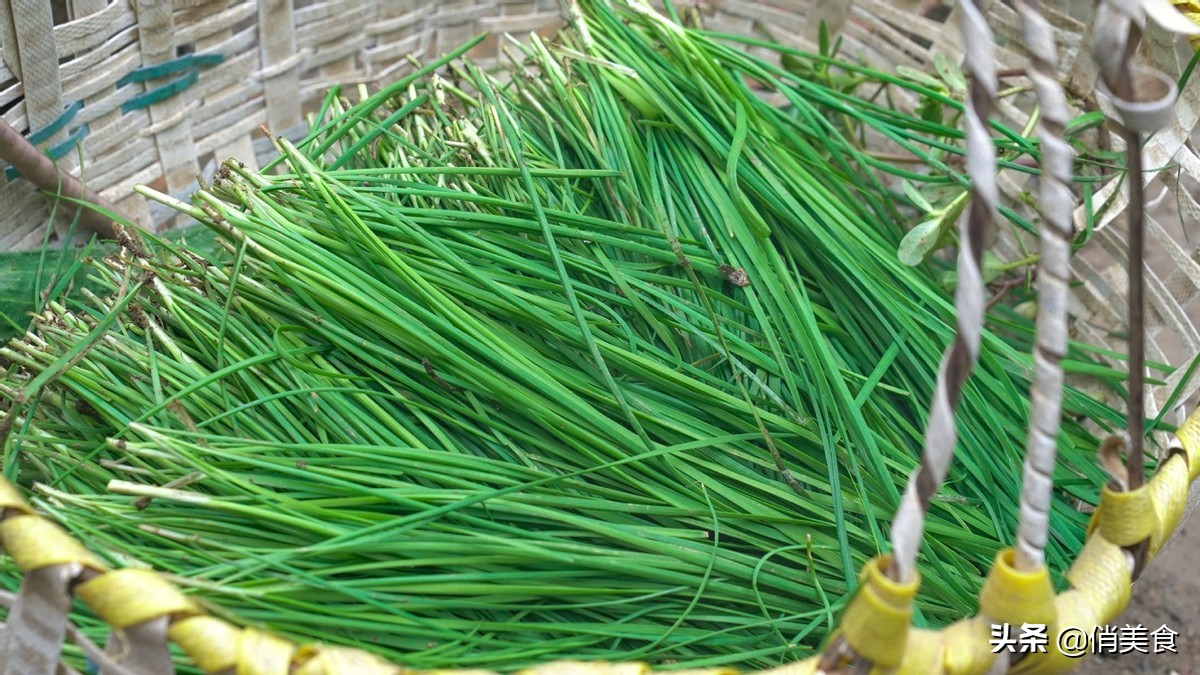 包韭菜馅饺子，牢记“2放2不放”，韭菜保持翠绿，不烧心不出水