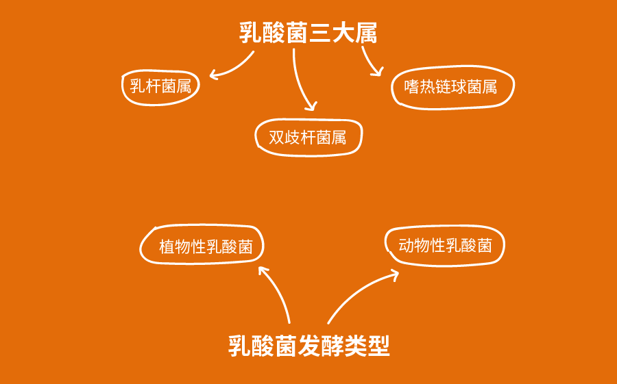 宝宝多大能喝酸奶？记住两个选购要点，让娃花式喝酸奶还长个子