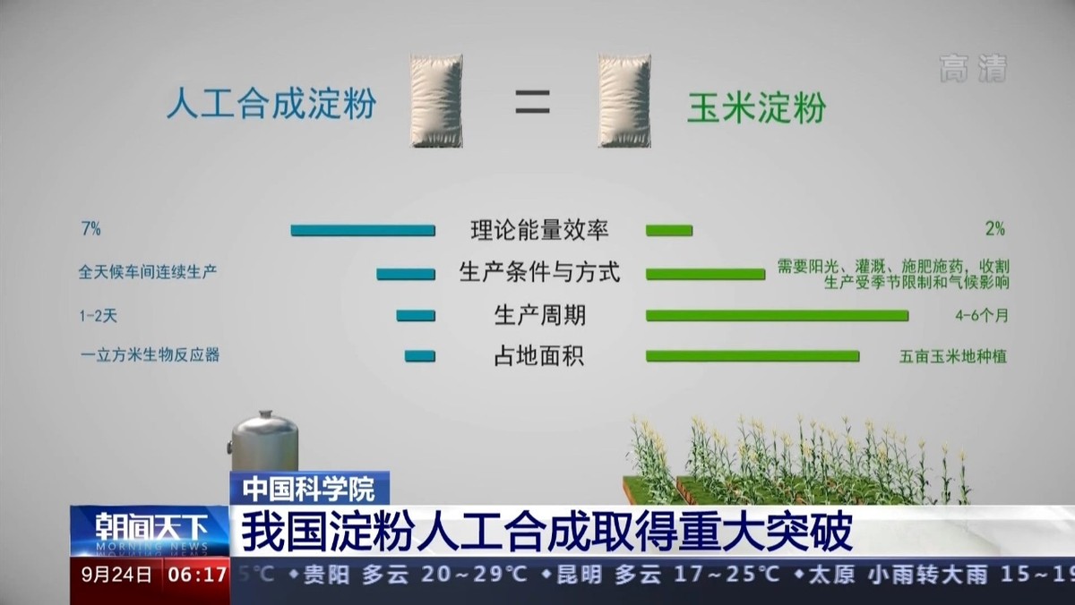 中国或将大改国际“粮食权利”局势，人工合成淀粉是如何做到的？