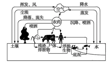 这些年使用过防草布的人到底节约了多少成本