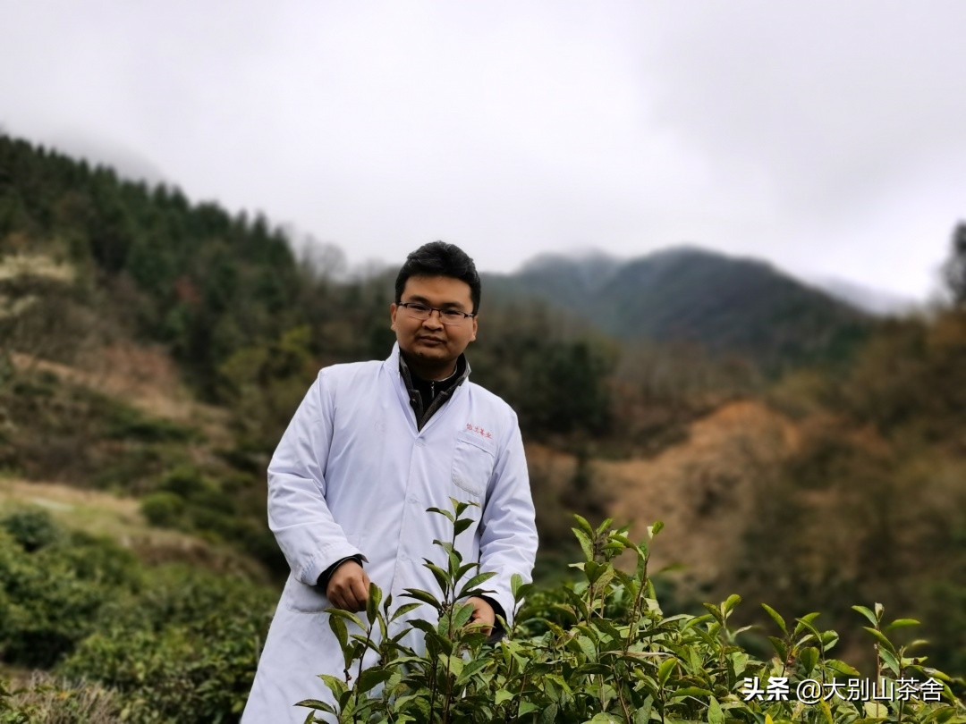 大别山采茶日记，茶季总结：茶歇犹依依，回首数峰青