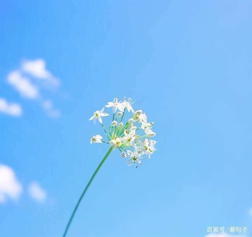 充满哲理的人生智慧语录，经典至极，大彻大悟