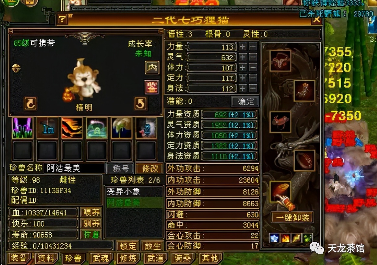 天龙八部：单刷珍兽能干嘛