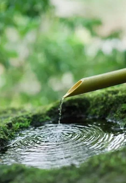 南北东西总是禅，十二首有关禅心的诗词，看古诗词里的禅意