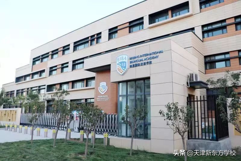 国际学校到底是什么？孩子在这里会成为一个什么样的人？