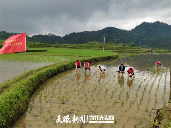 雷山县七一篮球比赛哪里可以看(锦绣黔东南 砥砺奋进时丨贯彻落实习近平总书记“七一”重要讲话精神在基层)