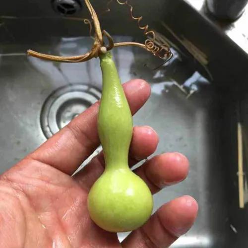 文玩葫芦怎样去皮(葫芦打皮十步骤)