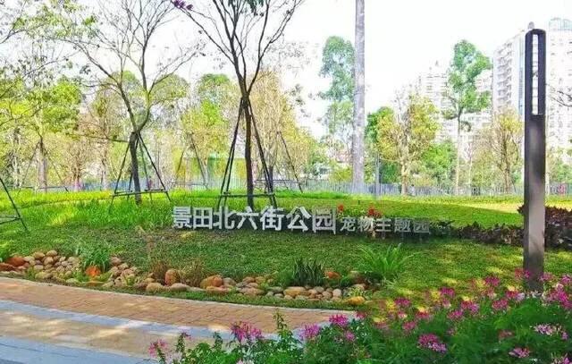 不容错过，深圳各有特色免费的十大主题公园