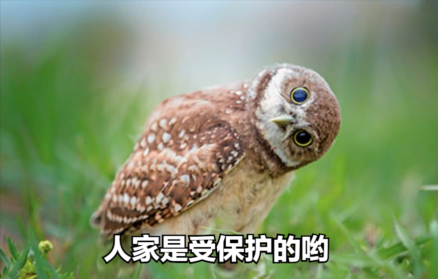 端午节几天假,端午节几天假?