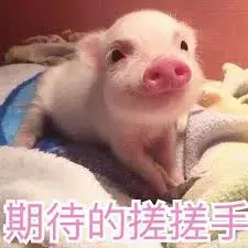 猪年限定皮肤有哪些（猪年限定皮肤）