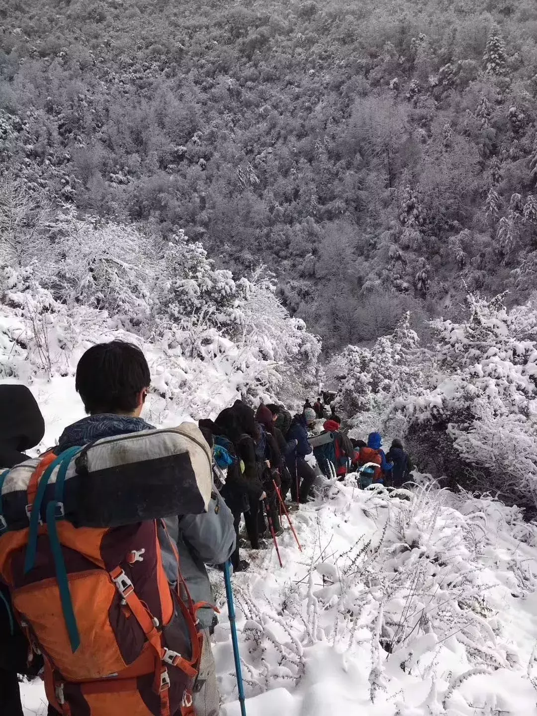 牛津国际公学---一所纯英式教育寄宿制国际学校