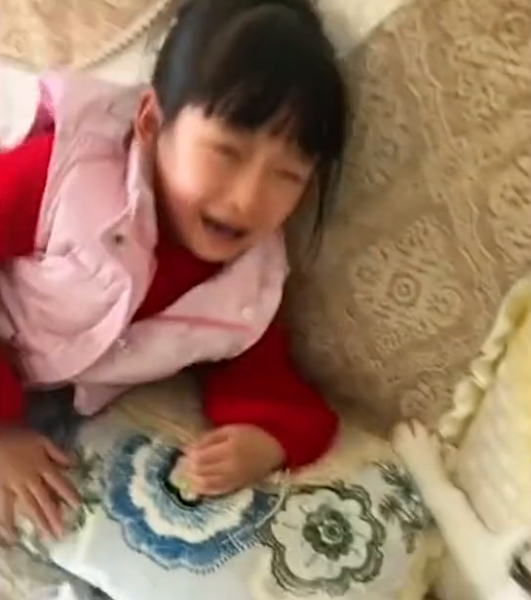陝西一女孩獎狀剛拿回家就被哈士奇撕碎，媽媽：二哈越打越興奮