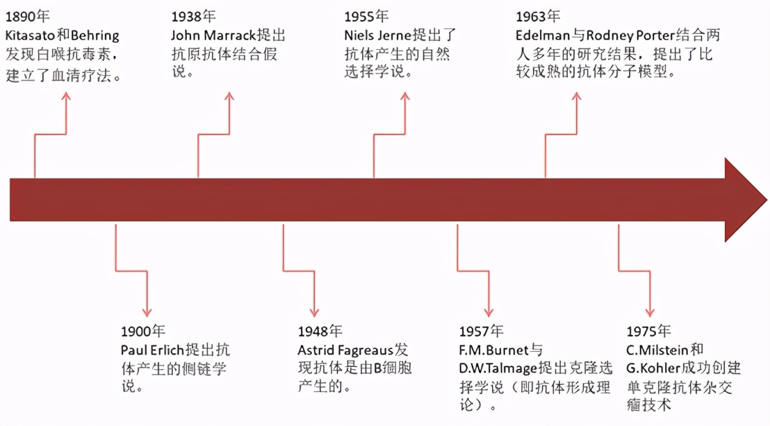 国产重要玩家跟随降价50%，“药王”阿达木单抗价格战白热化？