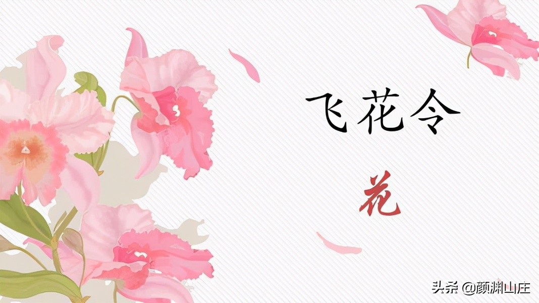 《飞花令·带花的诗句》酒醒只在花前坐，酒醉还来花下眠