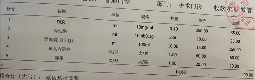 从2000到499，英短蓝猫波波亚的坎坷绝育记