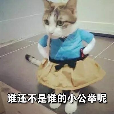 猫咪表情包合集｜谁还不是谁的小公举呢