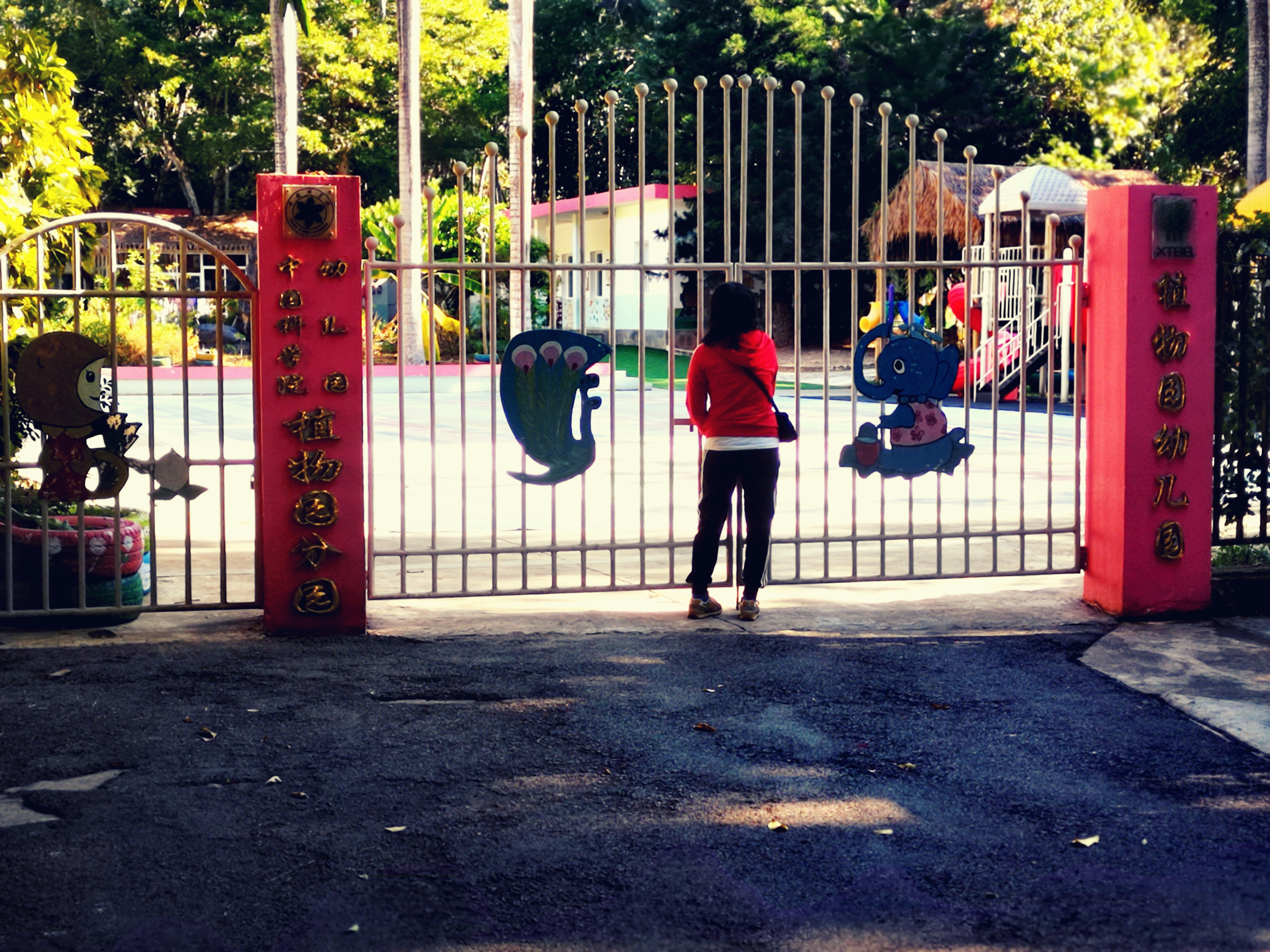 西双版纳8天9晚2600元，中科院热带植物园最详细攻略看这一篇就够