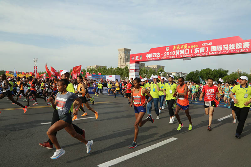 太原马拉松路线图2018(北马、上马……国内的11场国际金标马拉松赛事，哪场值得跑？)