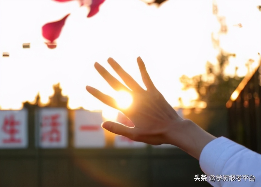 成考和函授哪个更好？详细解答