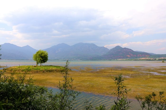 丽江拉市海，骑马走茶马古道，赏鸟走观湖长廊