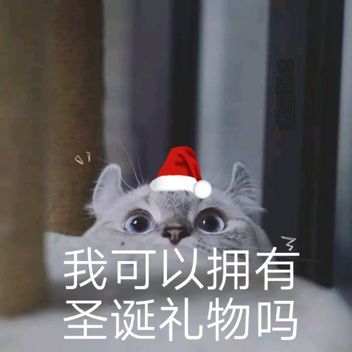 圣诞节表情包：Don’t merry Christmas，marry me