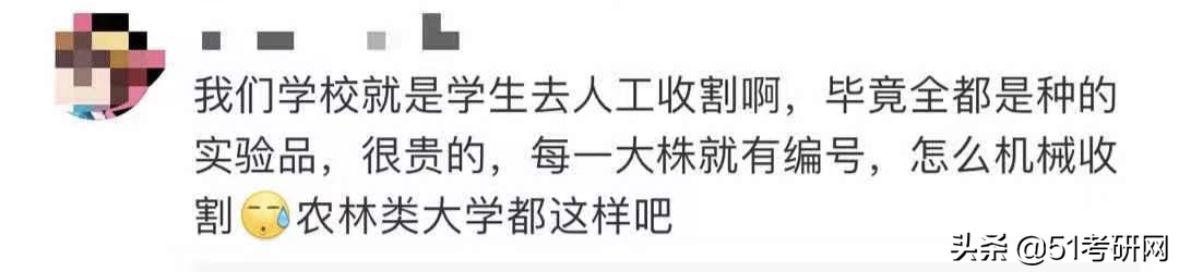 考研看过来，最近上热搜的这所985，说它最好考，没人不同意吧
