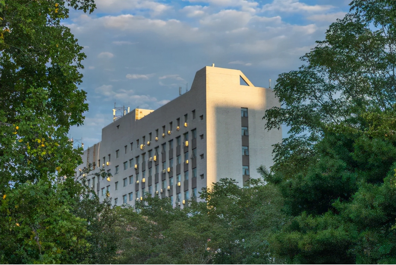 揭秘！北京林业大学科研实力如何？仅一个月，就有8项成果引发全球关注！