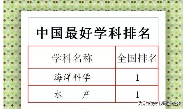 攀登热搜第一的海大，究竟是所什么高校？