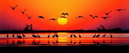 湖南这家板鸭店，320g鸭肉要88元，却很受追捧，网友：味道值这价