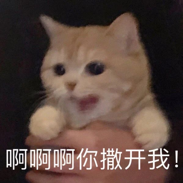 猫咪表情包​  生气专用表情包