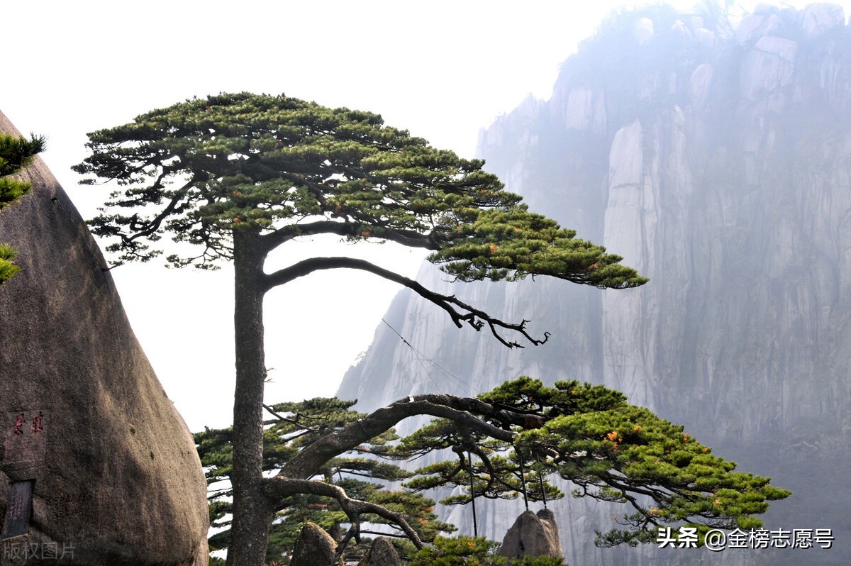 2018年安徽高考改革最新方案（安徽省启动3）