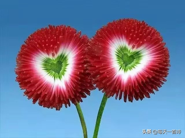 过年了，五味杂陈涌上心头：团圆的暖、离别的涩、思念的酸、期盼的甜与岁月的苦交织成家的味道。