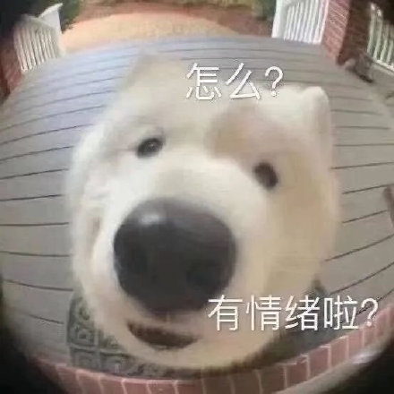 全国最大的看片工具，现在全都凉了